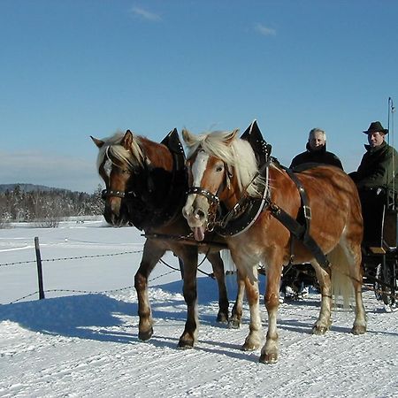 Landhaus Brigitte Bad Bayersoien ภายนอก รูปภาพ